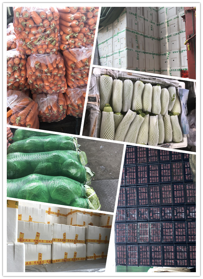 J9旗舰厅(中国区)官方网站