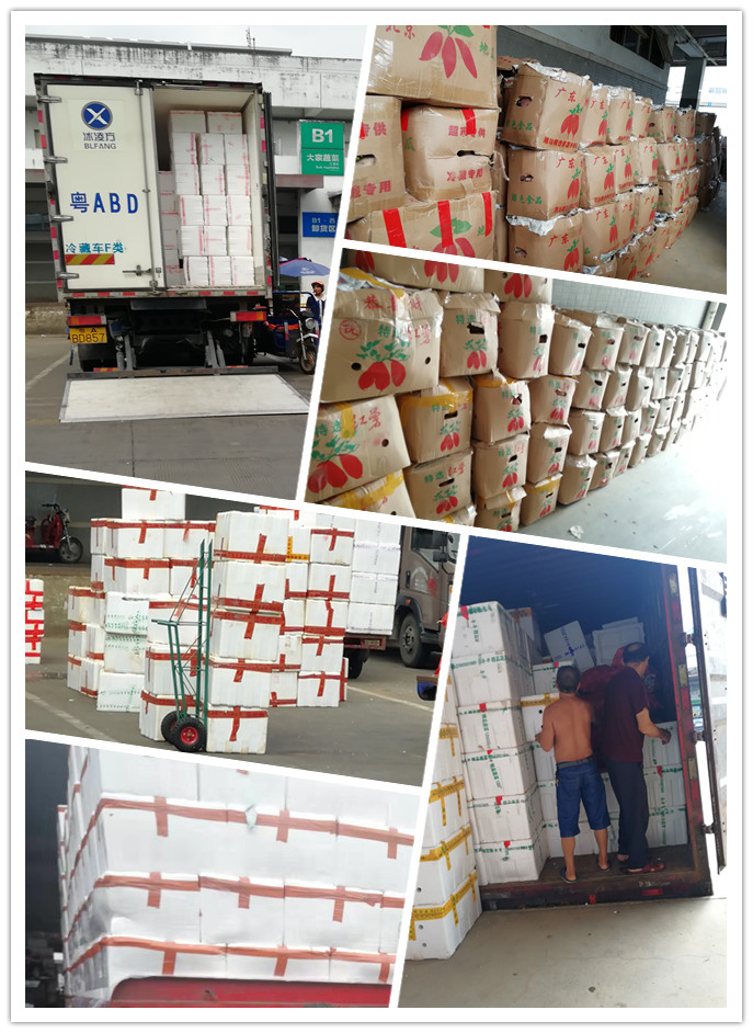 J9旗舰厅(中国区)官方网站