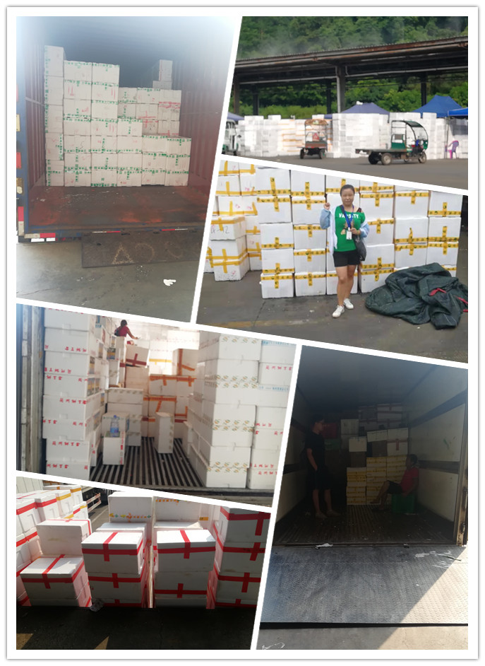 J9旗舰厅(中国区)官方网站