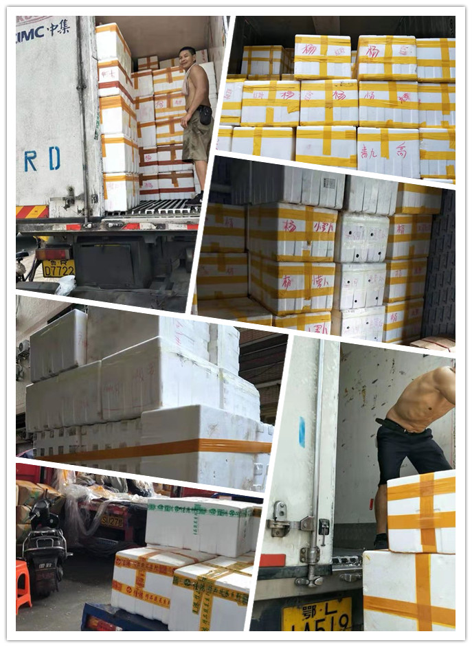 J9旗舰厅(中国区)官方网站