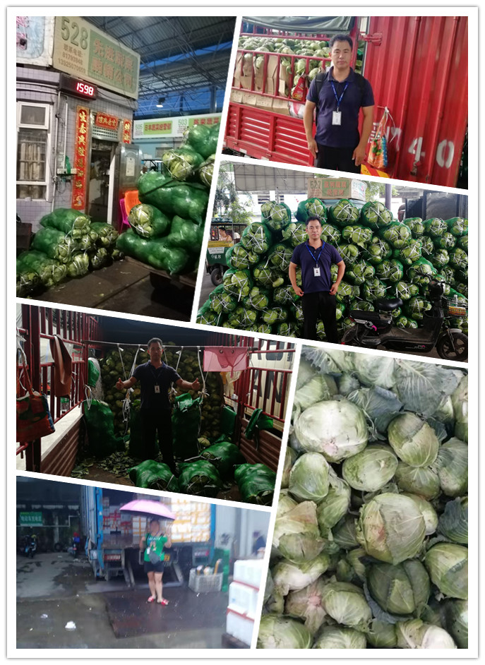 J9旗舰厅(中国区)官方网站