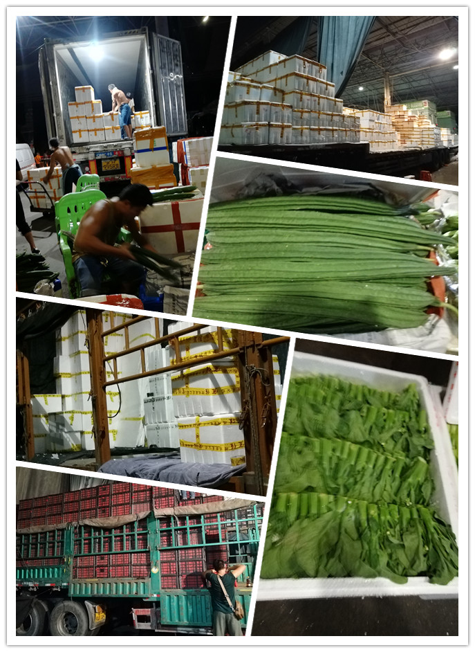 J9旗舰厅(中国区)官方网站