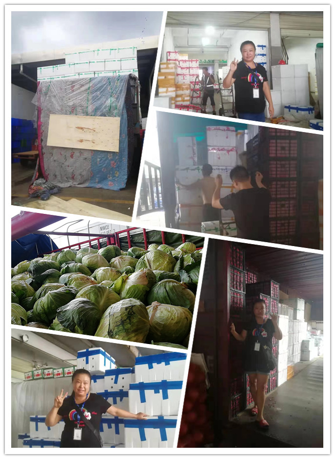 J9旗舰厅(中国区)官方网站