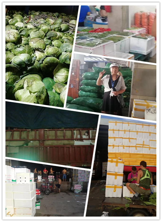 J9旗舰厅(中国区)官方网站