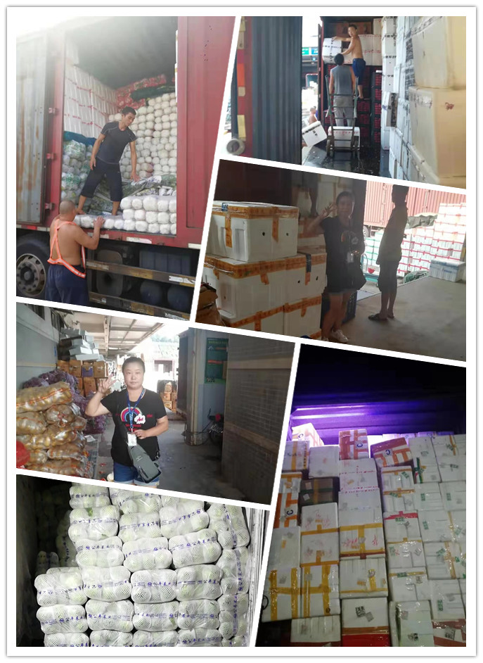 J9旗舰厅(中国区)官方网站