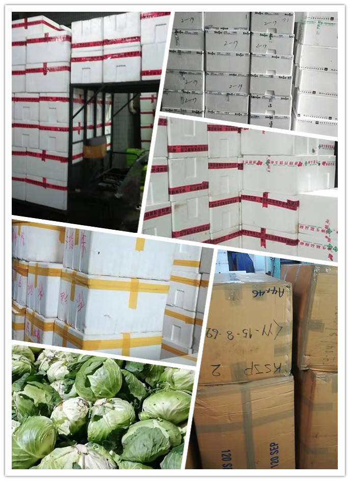 J9旗舰厅(中国区)官方网站