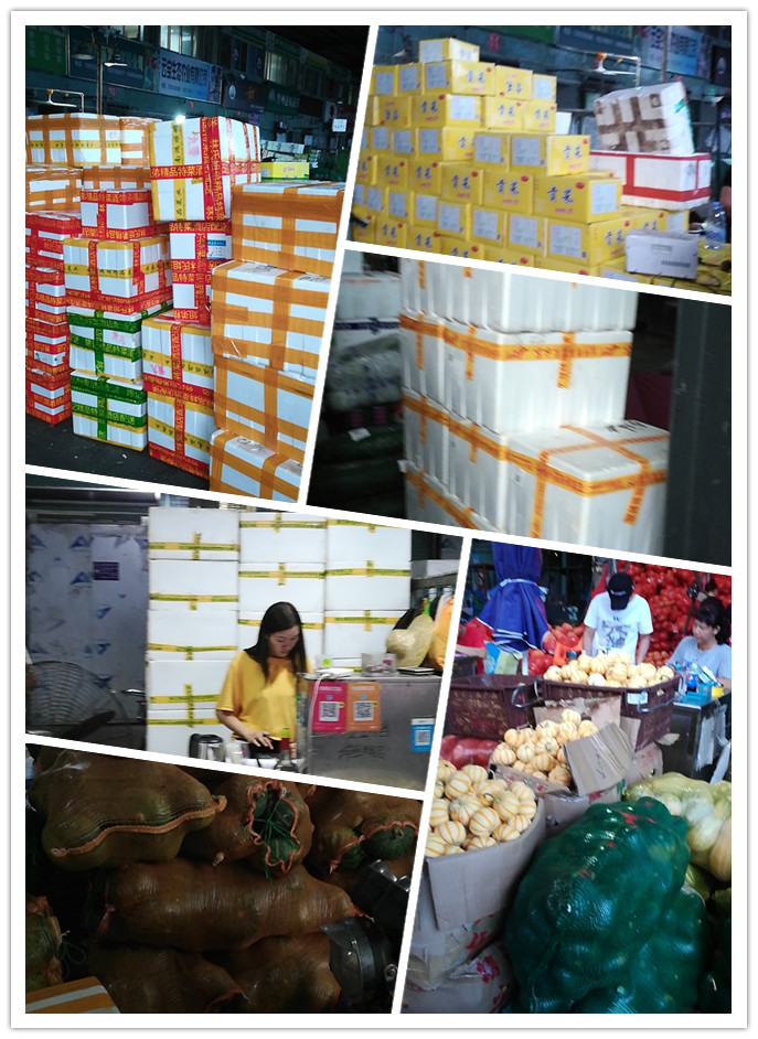 J9旗舰厅(中国区)官方网站