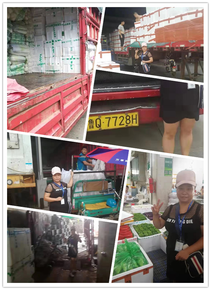 J9旗舰厅(中国区)官方网站