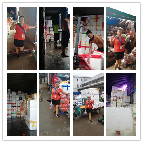 J9旗舰厅(中国区)官方网站