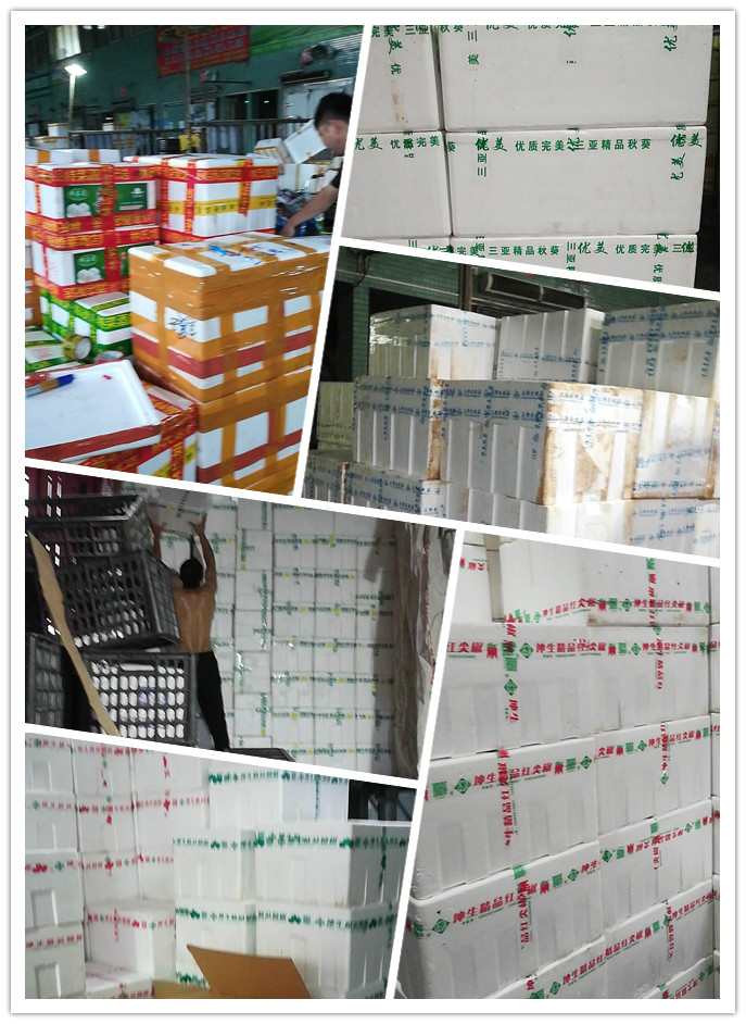 J9旗舰厅(中国区)官方网站