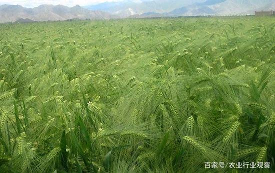 J9旗舰厅(中国区)官方网站