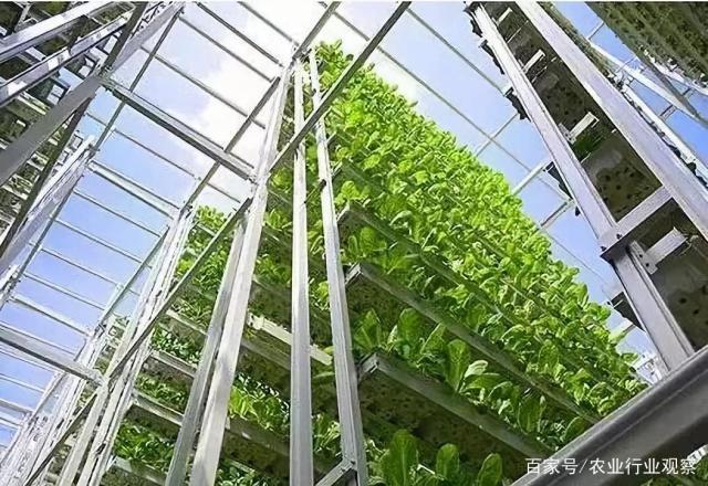 J9旗舰厅(中国区)官方网站