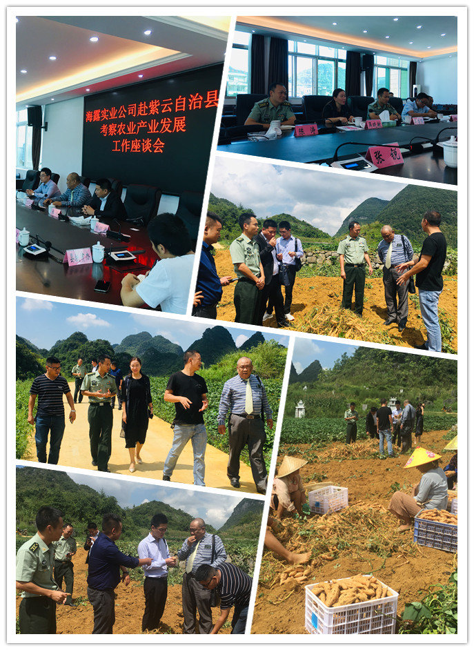 J9旗舰厅(中国区)官方网站