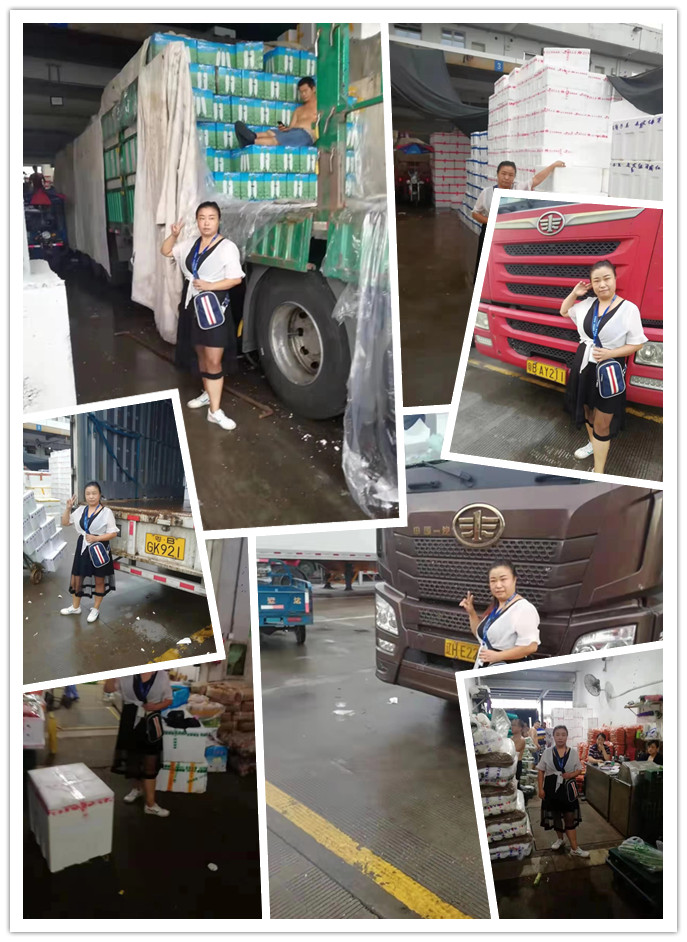 J9旗舰厅(中国区)官方网站