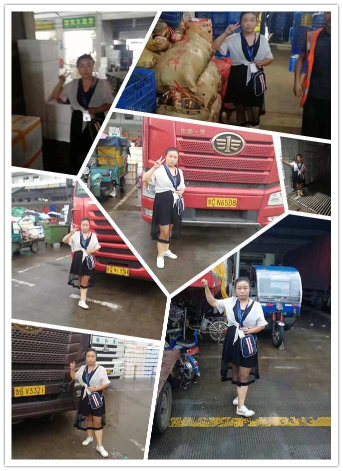 J9旗舰厅(中国区)官方网站