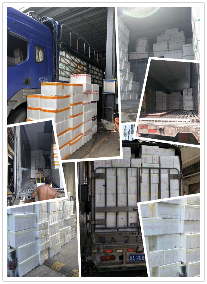 J9旗舰厅(中国区)官方网站