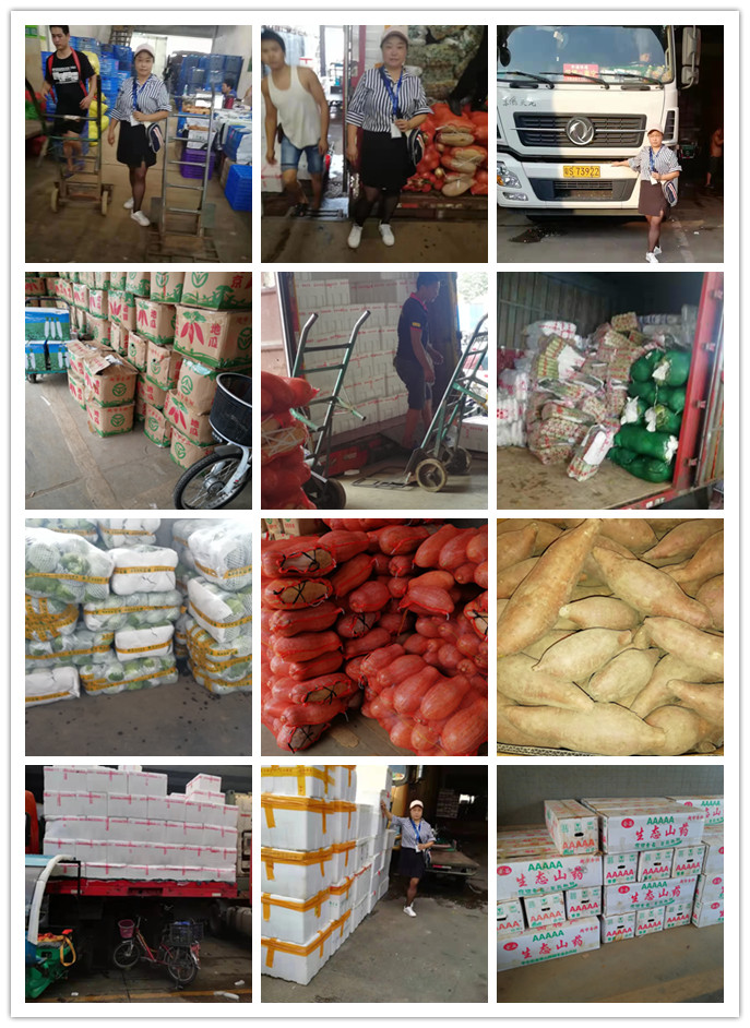 J9旗舰厅(中国区)官方网站