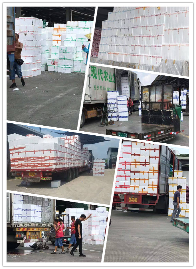 J9旗舰厅(中国区)官方网站