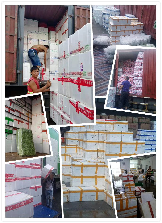 J9旗舰厅(中国区)官方网站