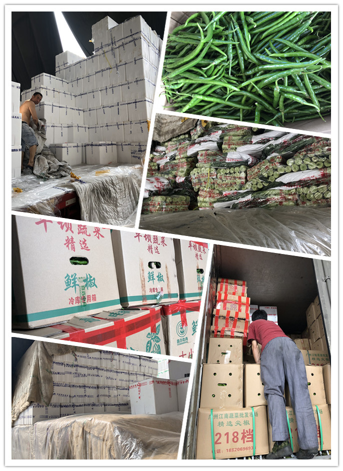 J9旗舰厅(中国区)官方网站