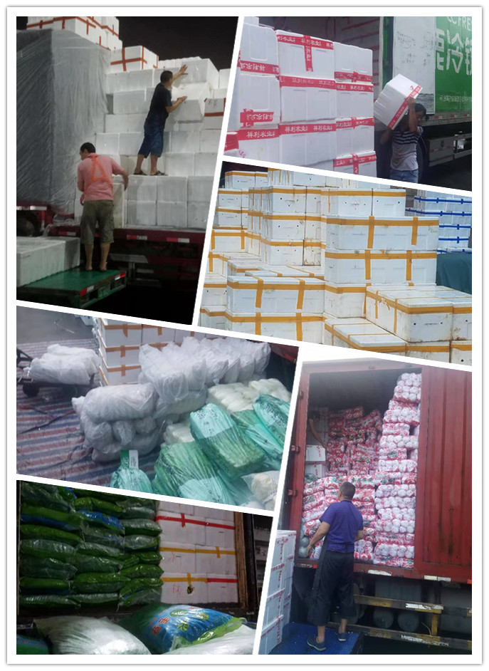 J9旗舰厅(中国区)官方网站