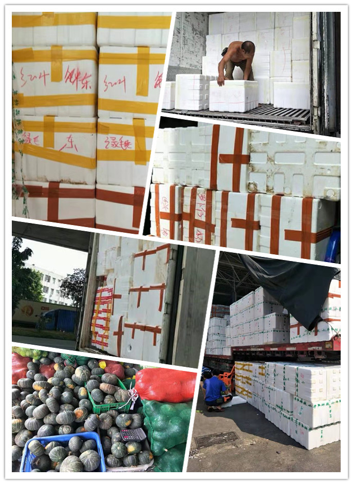 J9旗舰厅(中国区)官方网站