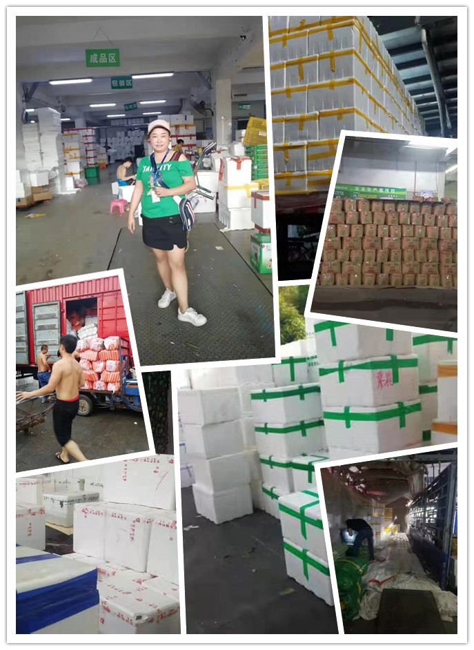 J9旗舰厅(中国区)官方网站