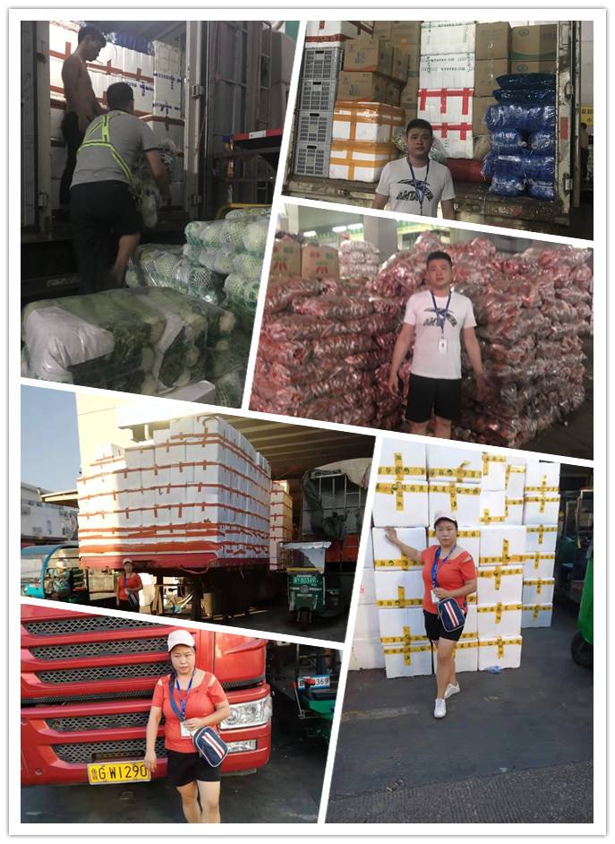 J9旗舰厅(中国区)官方网站