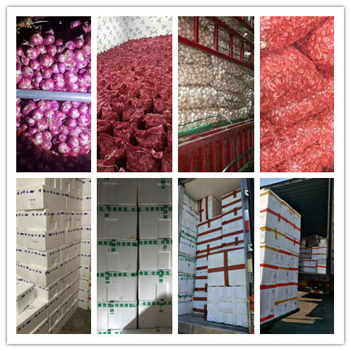 J9旗舰厅(中国区)官方网站