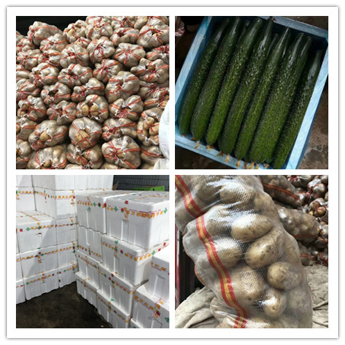 J9旗舰厅(中国区)官方网站