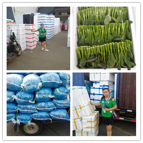 J9旗舰厅(中国区)官方网站