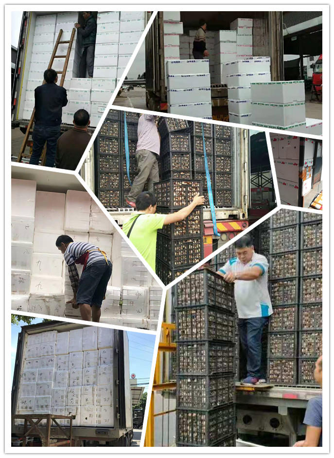 J9旗舰厅(中国区)官方网站