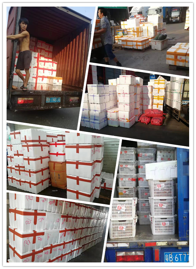 J9旗舰厅(中国区)官方网站