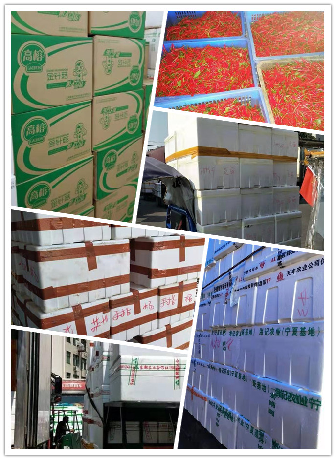 J9旗舰厅(中国区)官方网站