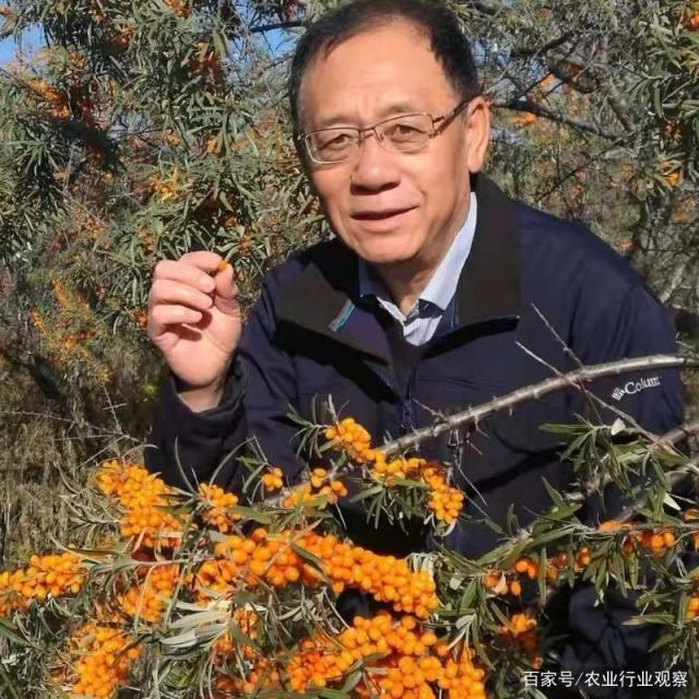 J9旗舰厅(中国区)官方网站