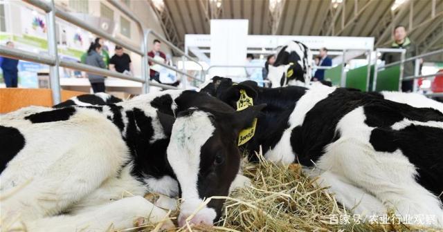 J9旗舰厅(中国区)官方网站