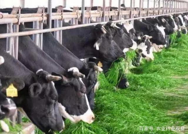 J9旗舰厅(中国区)官方网站