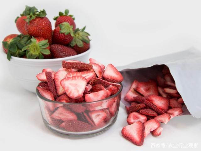 J9旗舰厅(中国区)官方网站