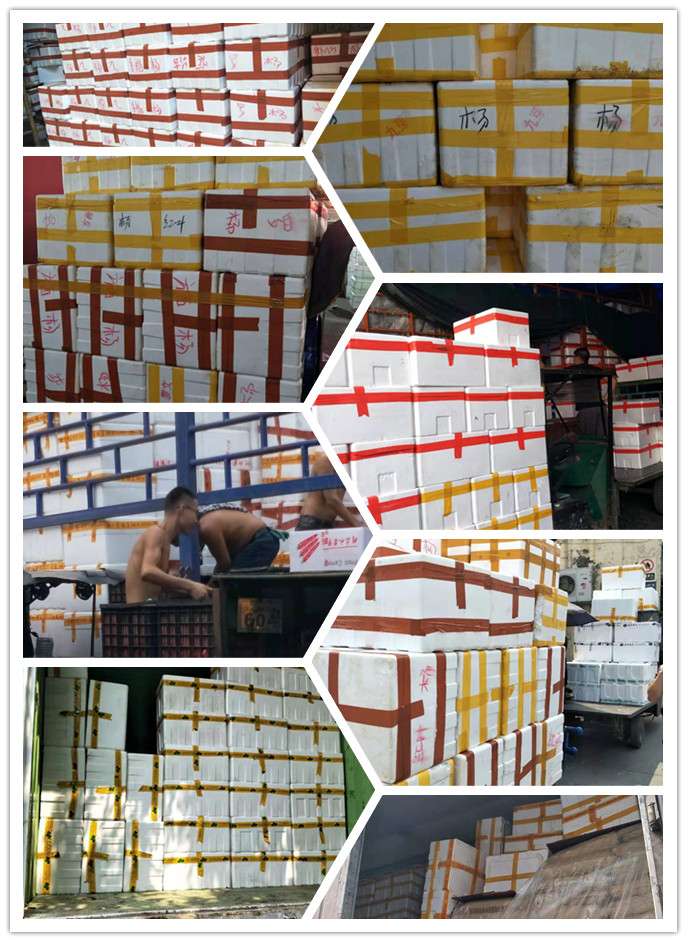 J9旗舰厅(中国区)官方网站