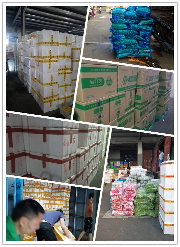 J9旗舰厅(中国区)官方网站