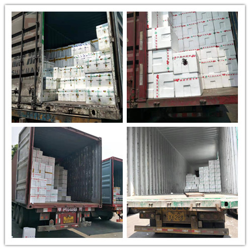 J9旗舰厅(中国区)官方网站