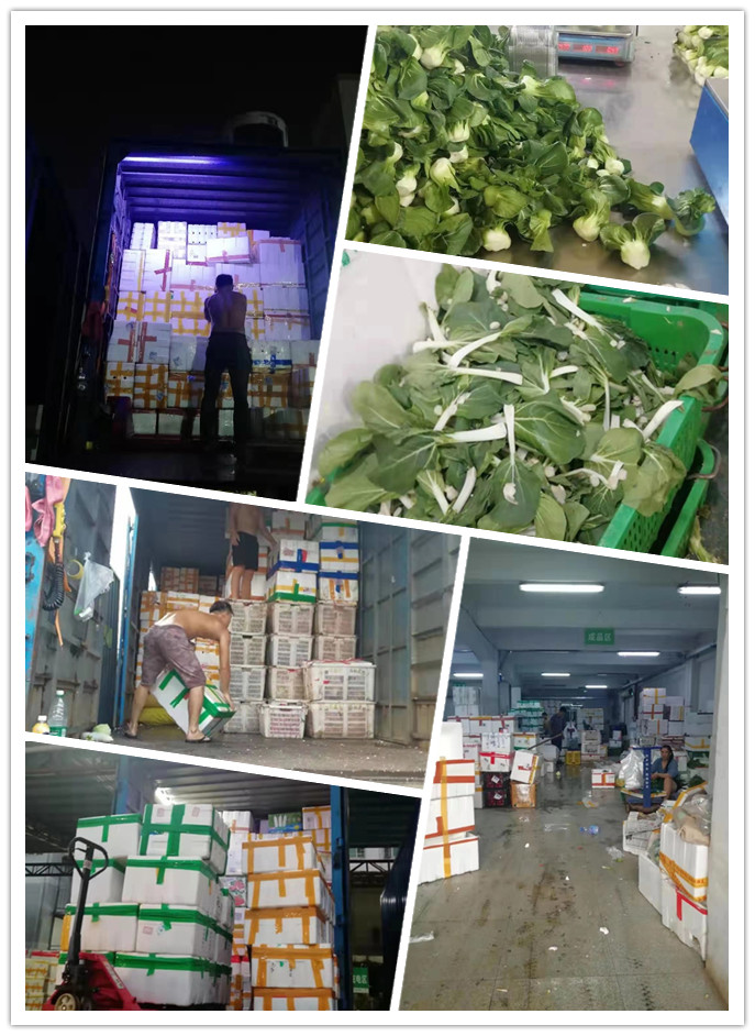 J9旗舰厅(中国区)官方网站