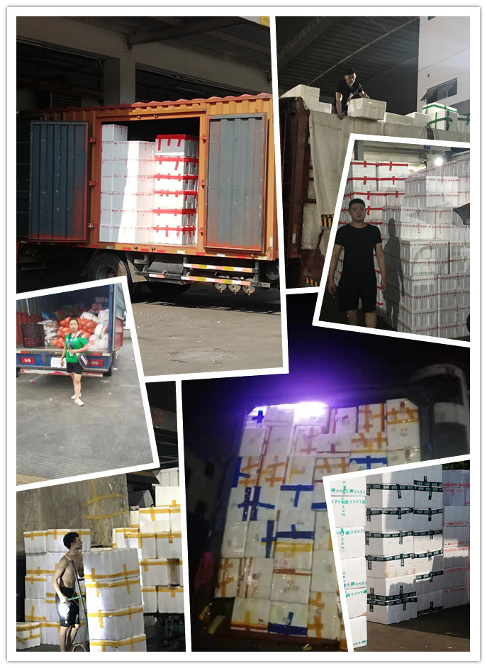 J9旗舰厅(中国区)官方网站