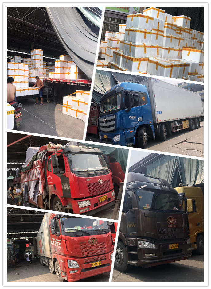 J9旗舰厅(中国区)官方网站