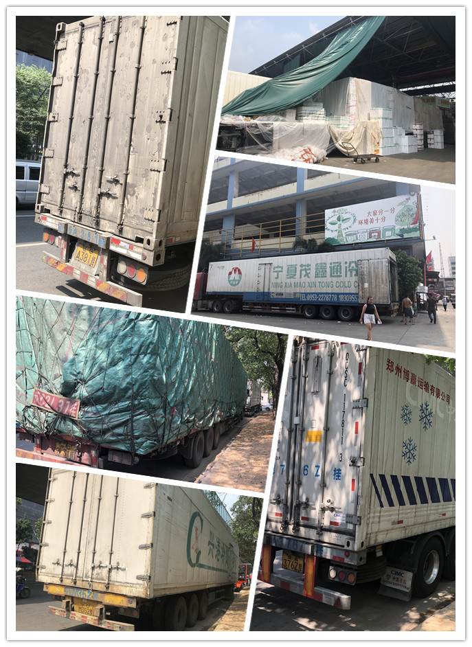 J9旗舰厅(中国区)官方网站