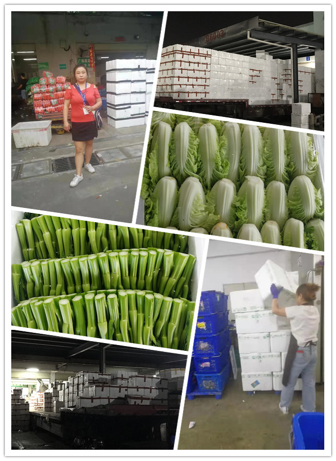 J9旗舰厅(中国区)官方网站