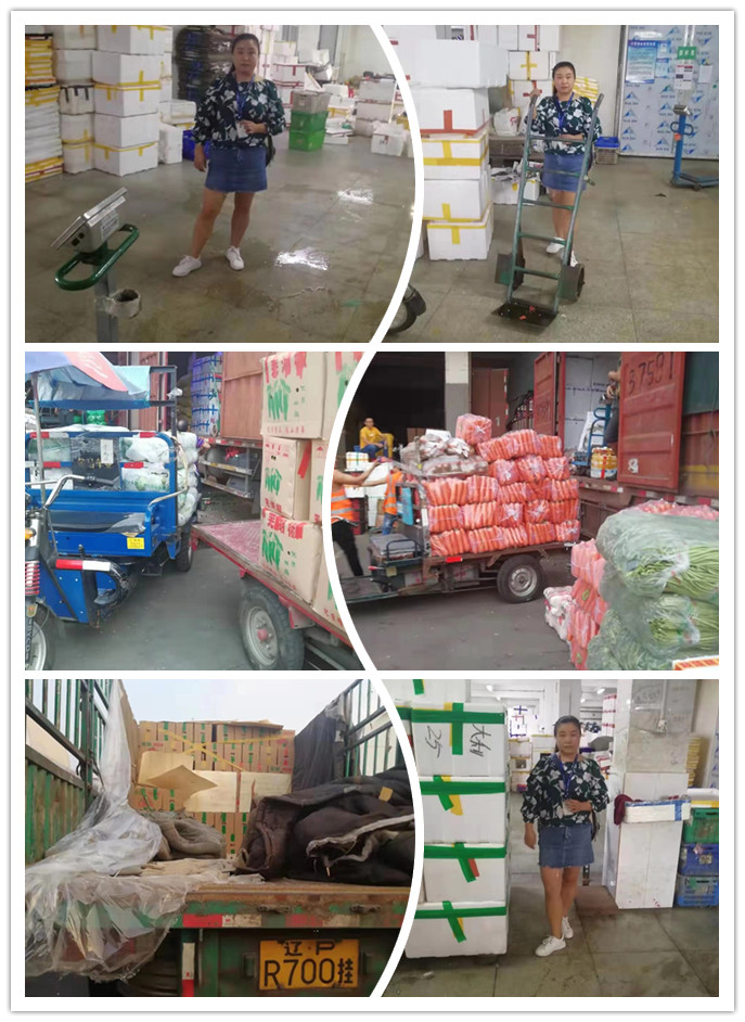 J9旗舰厅(中国区)官方网站