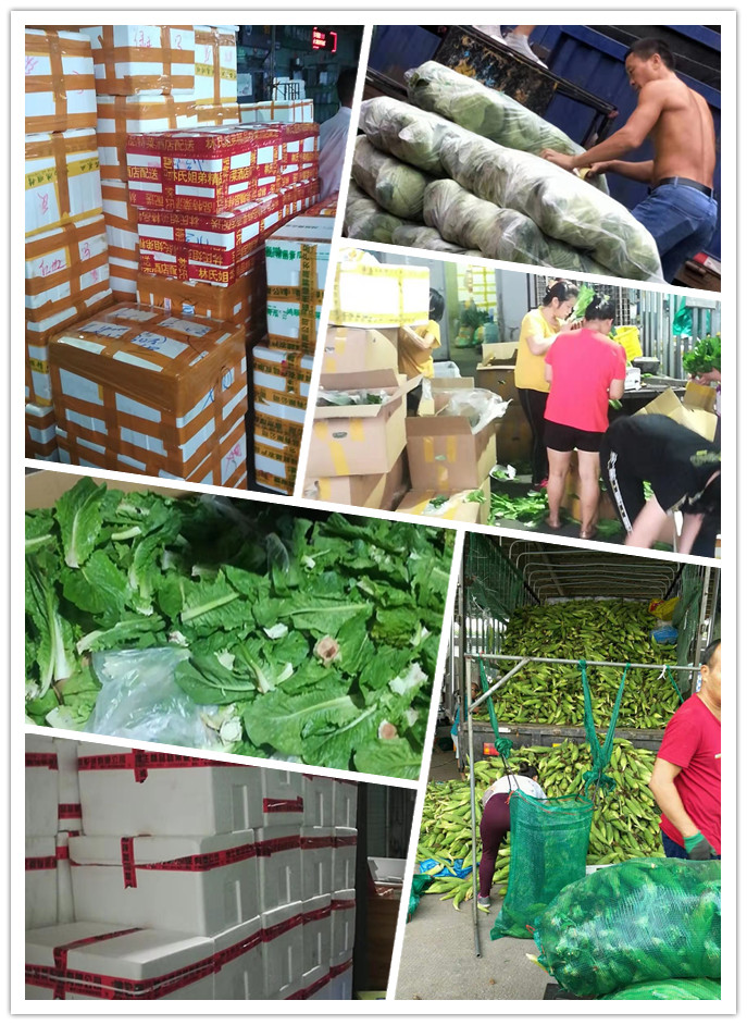 J9旗舰厅(中国区)官方网站