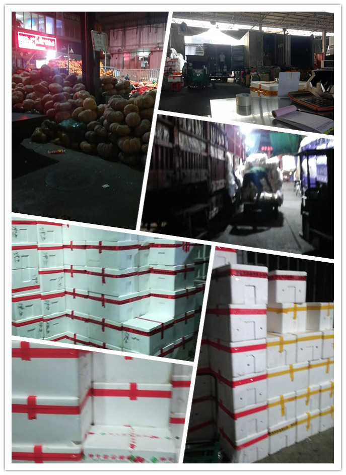 J9旗舰厅(中国区)官方网站