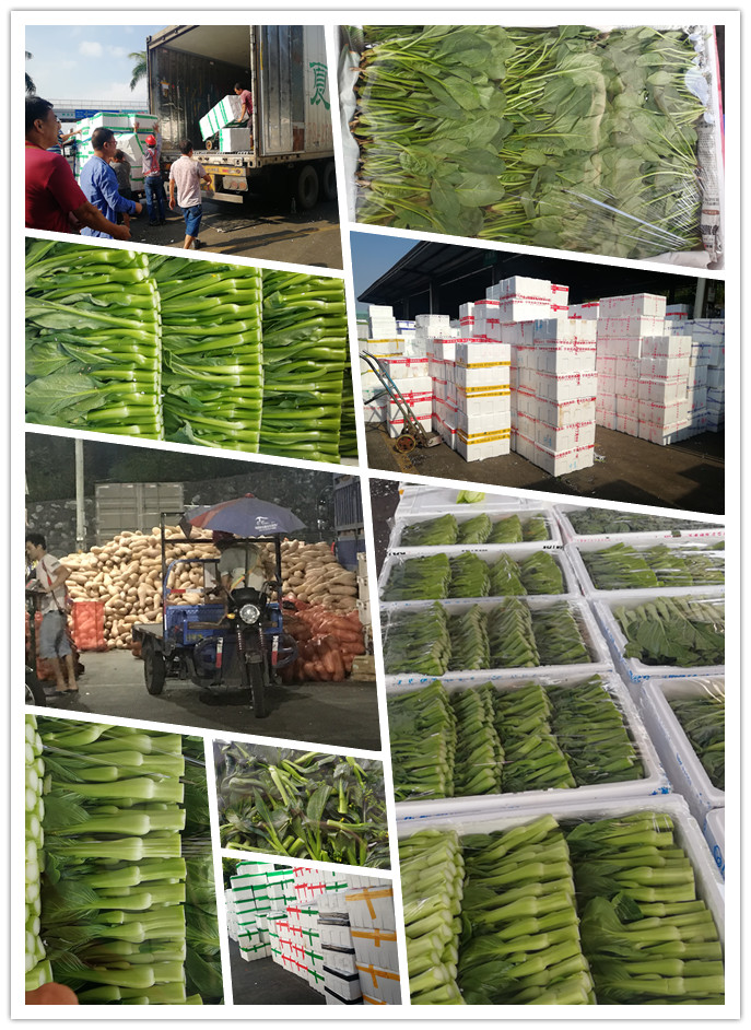 J9旗舰厅(中国区)官方网站